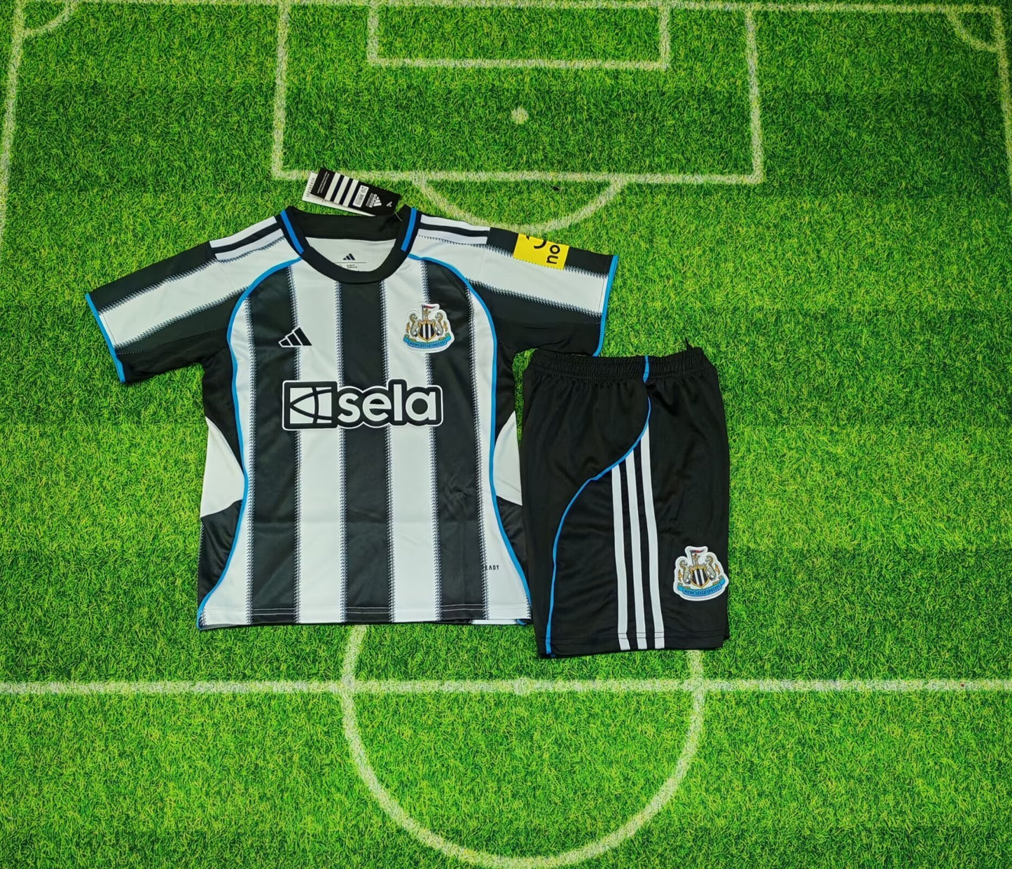 Newcastle Home 1